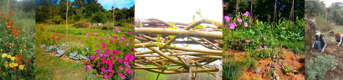 Naturellement Autonome